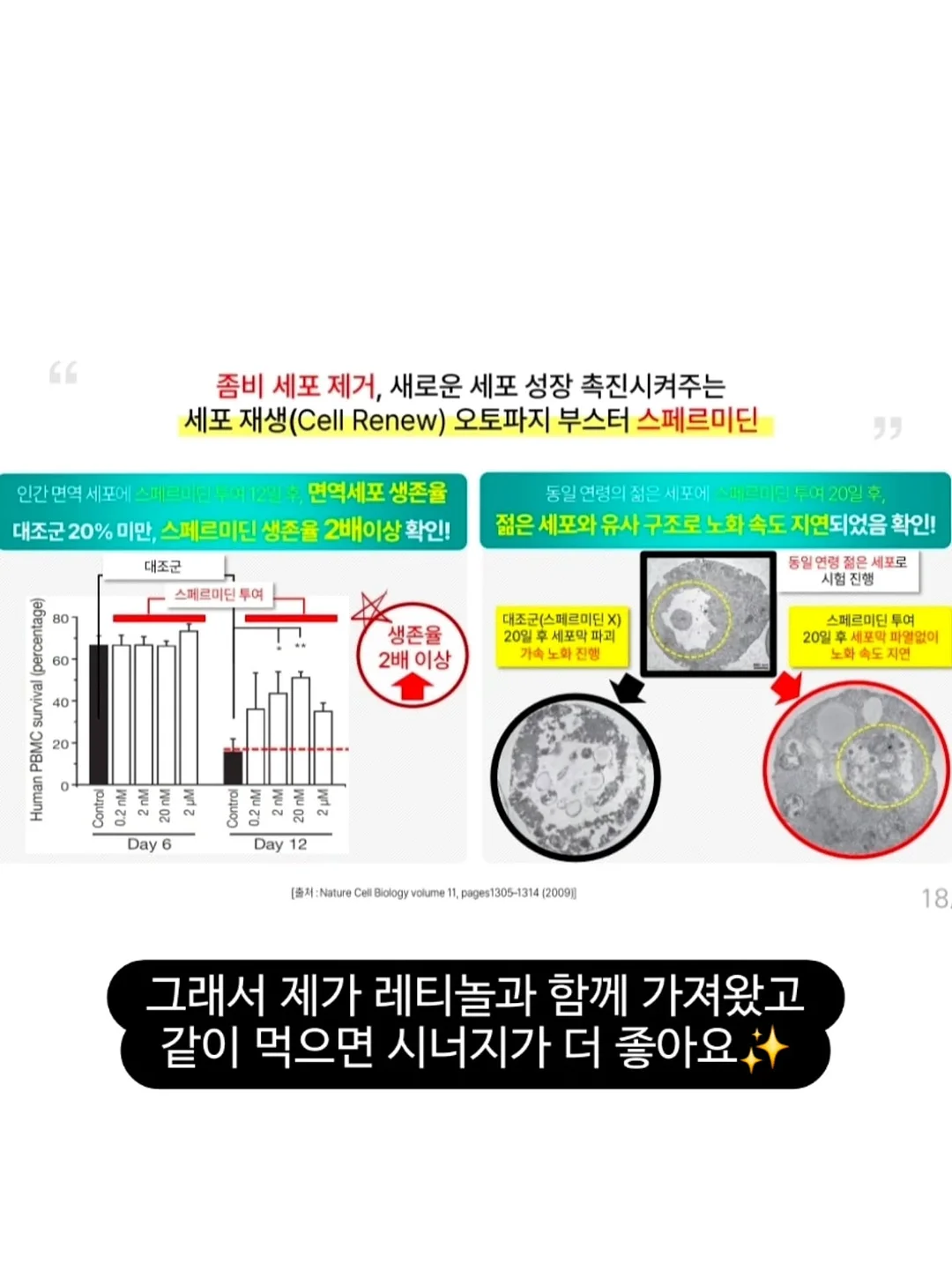 생일 답례품 부채 10