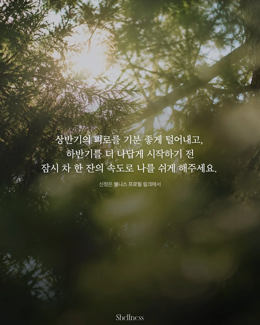 보일러실 공간 활용 아이템 13