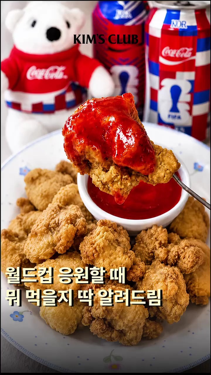 기내용 가방
