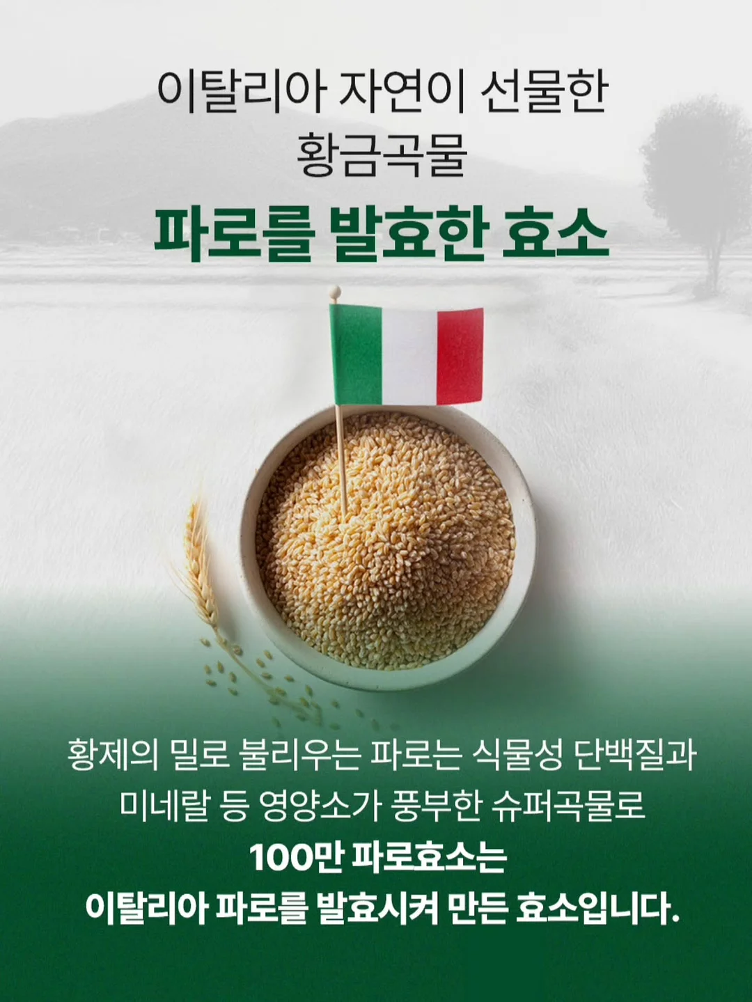 텐셀나시원피스 10