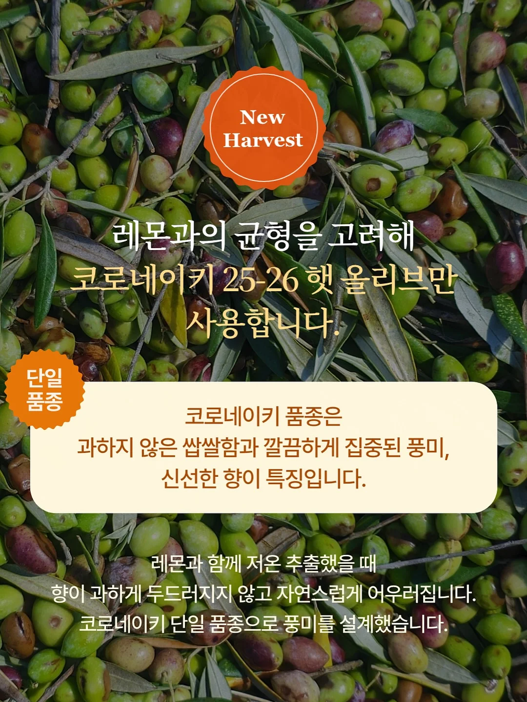 화장품 6