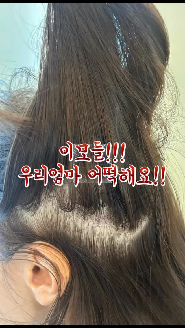 국기 색칠 도안 50개국 세트