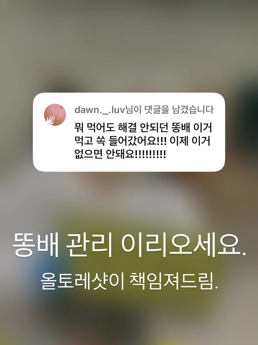 하우키즈풀 폰백 & 보틀백 12