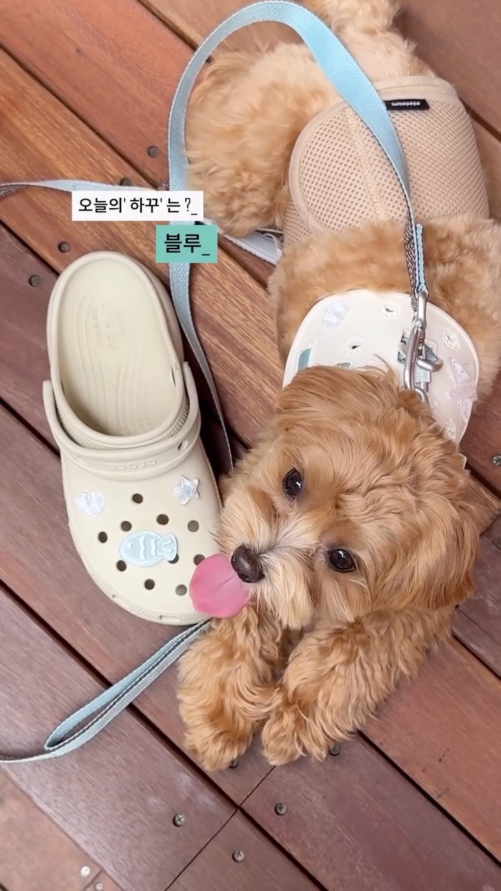 디아망벽지
