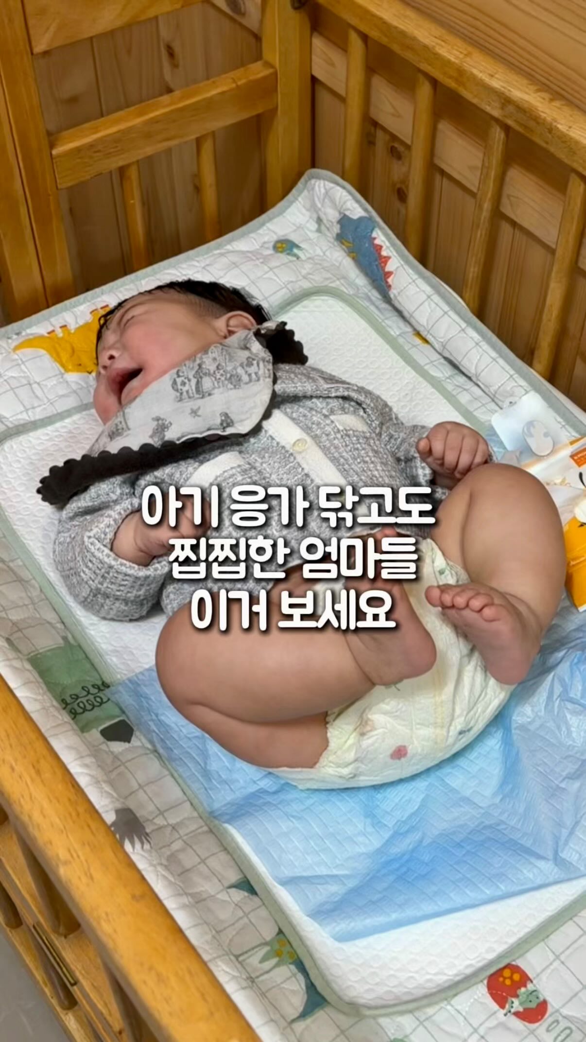 폴로 카라티