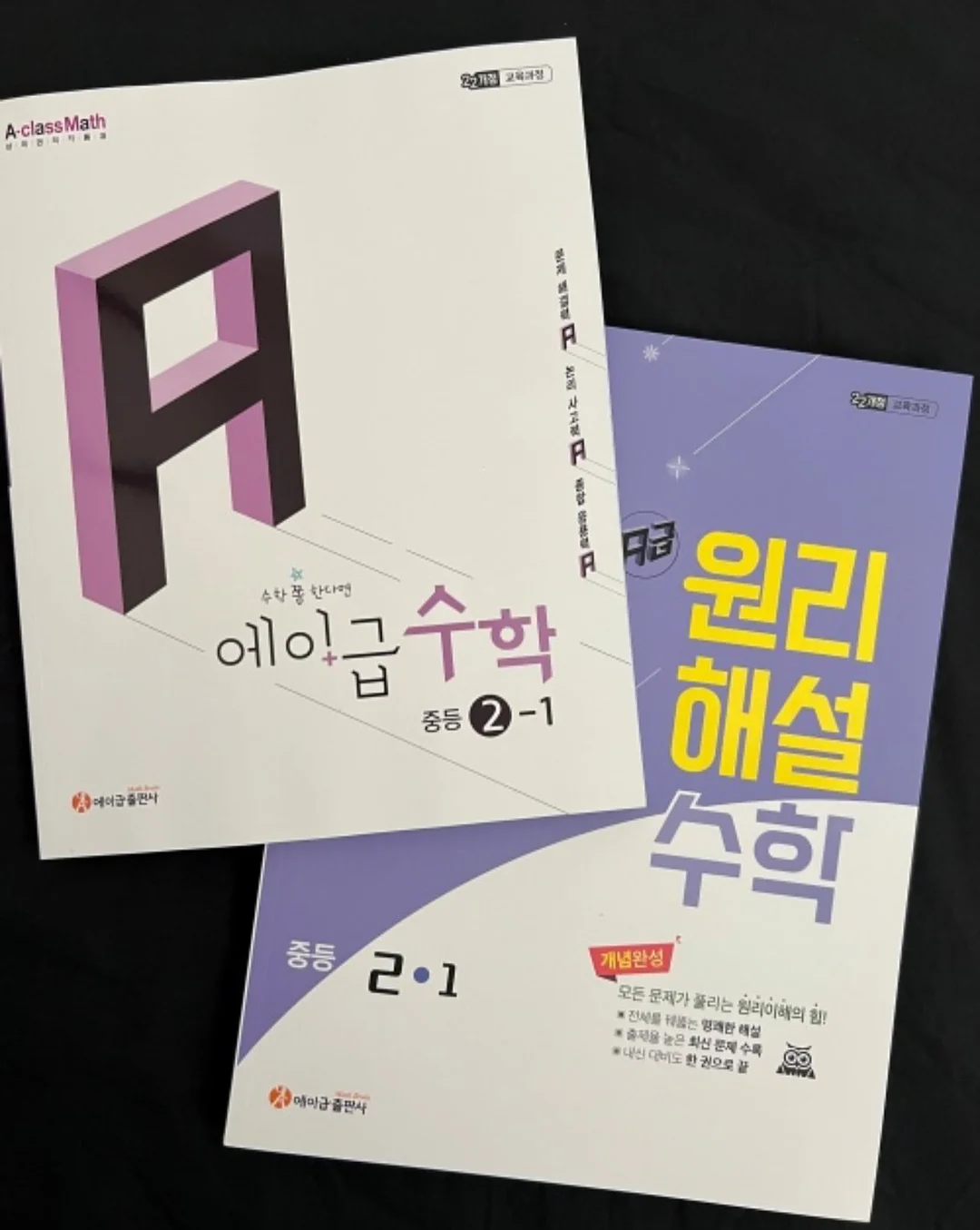 운이 피어난 자리 1