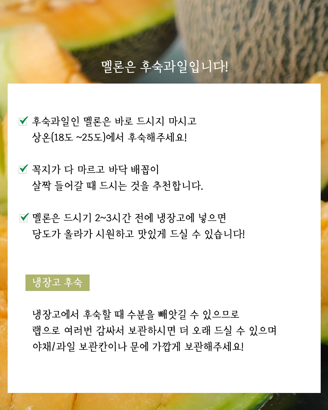바디프랜드 팔콘 N 안마의자 10