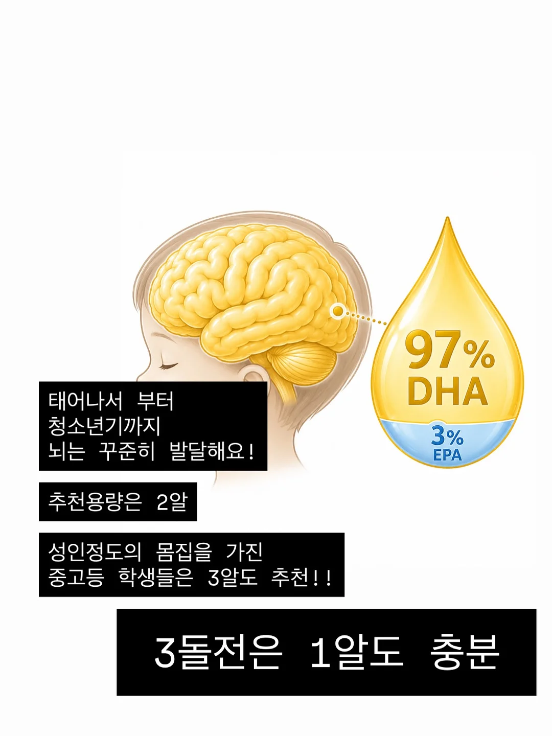 차량용 자동 가림막 13