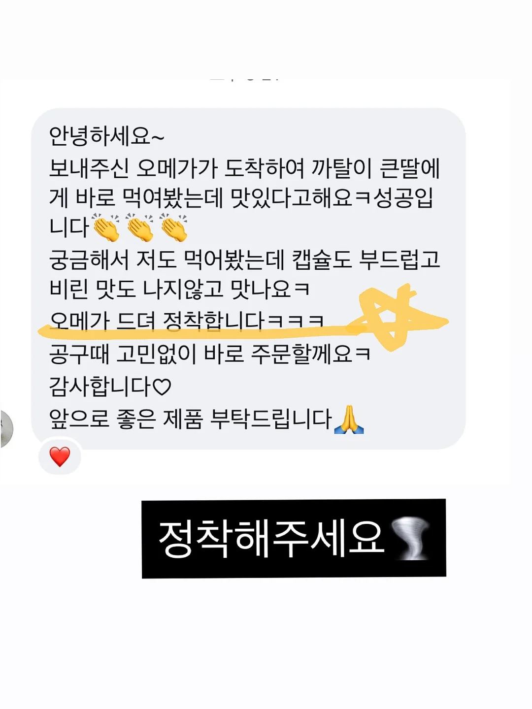 차량용 자동 가림막 17