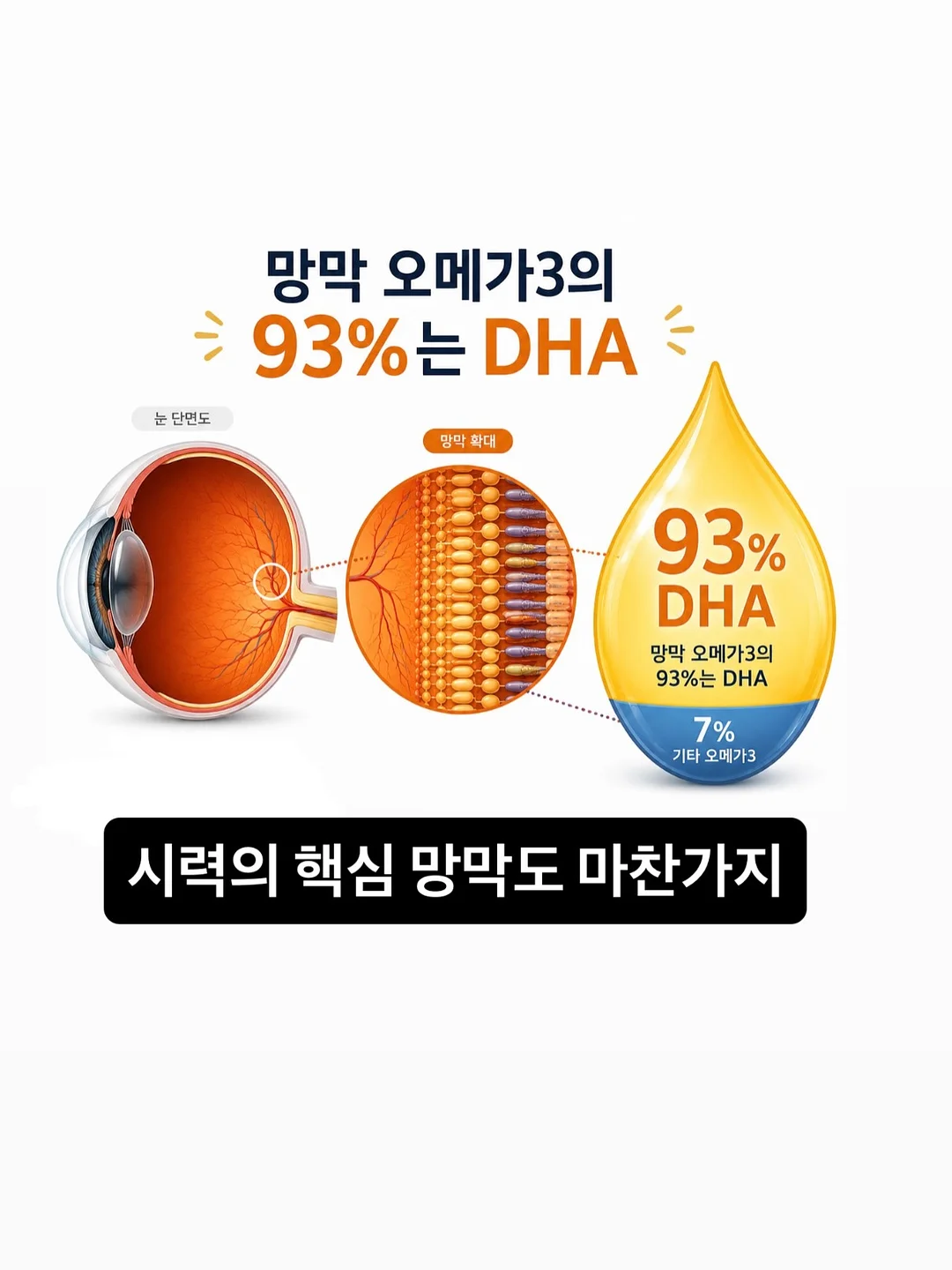 차량용 자동 가림막 4