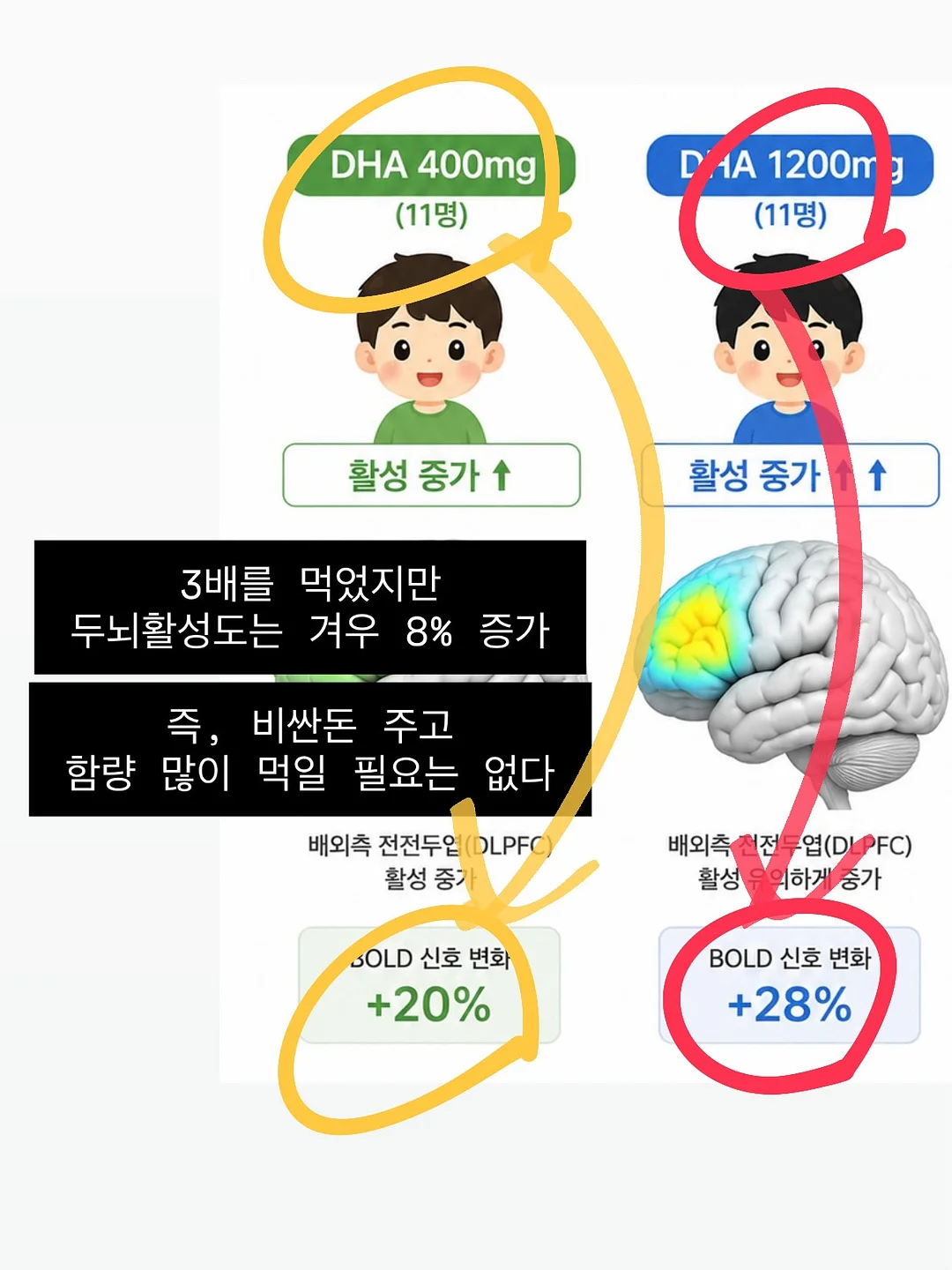 차량용 자동 가림막 10