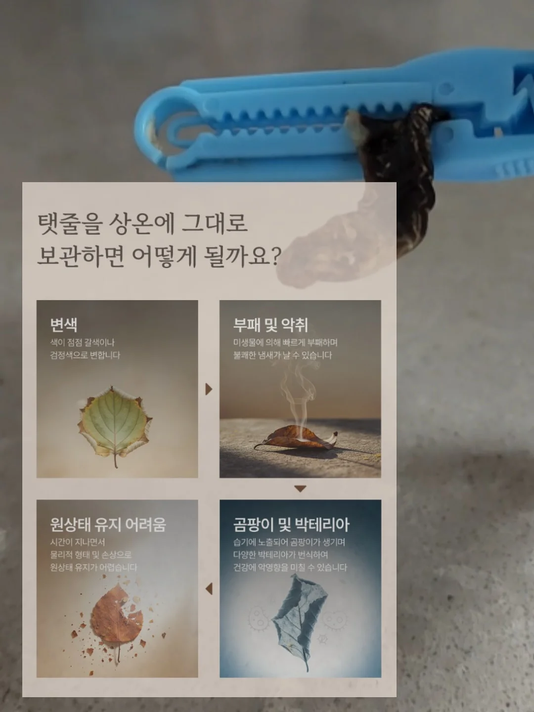 니치 향수 저렴이 버전 4