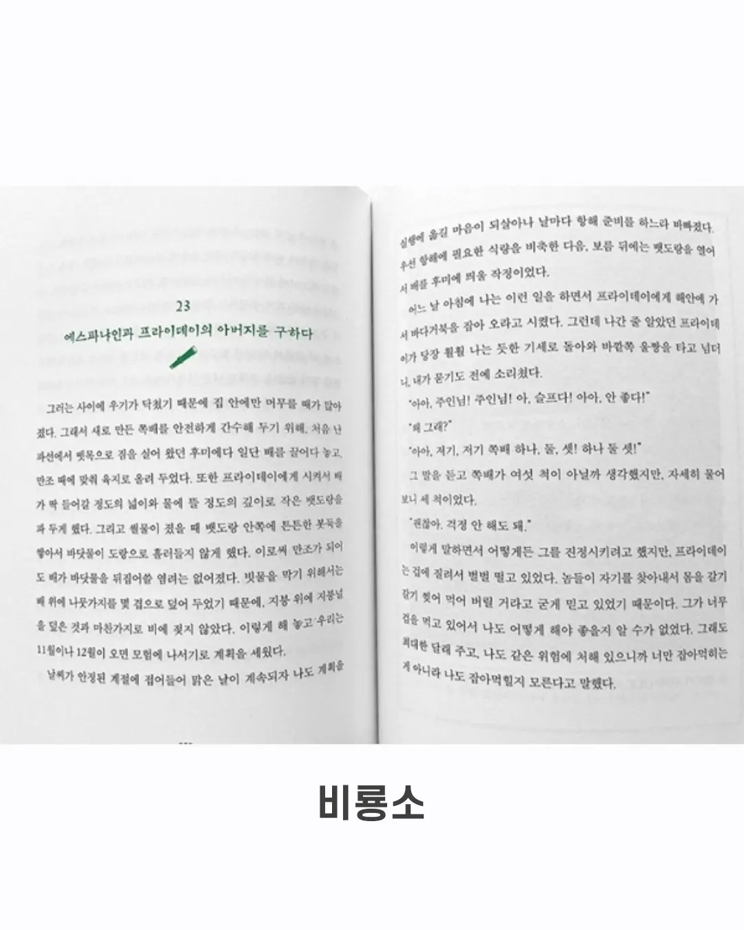 보헴 데일리백 4