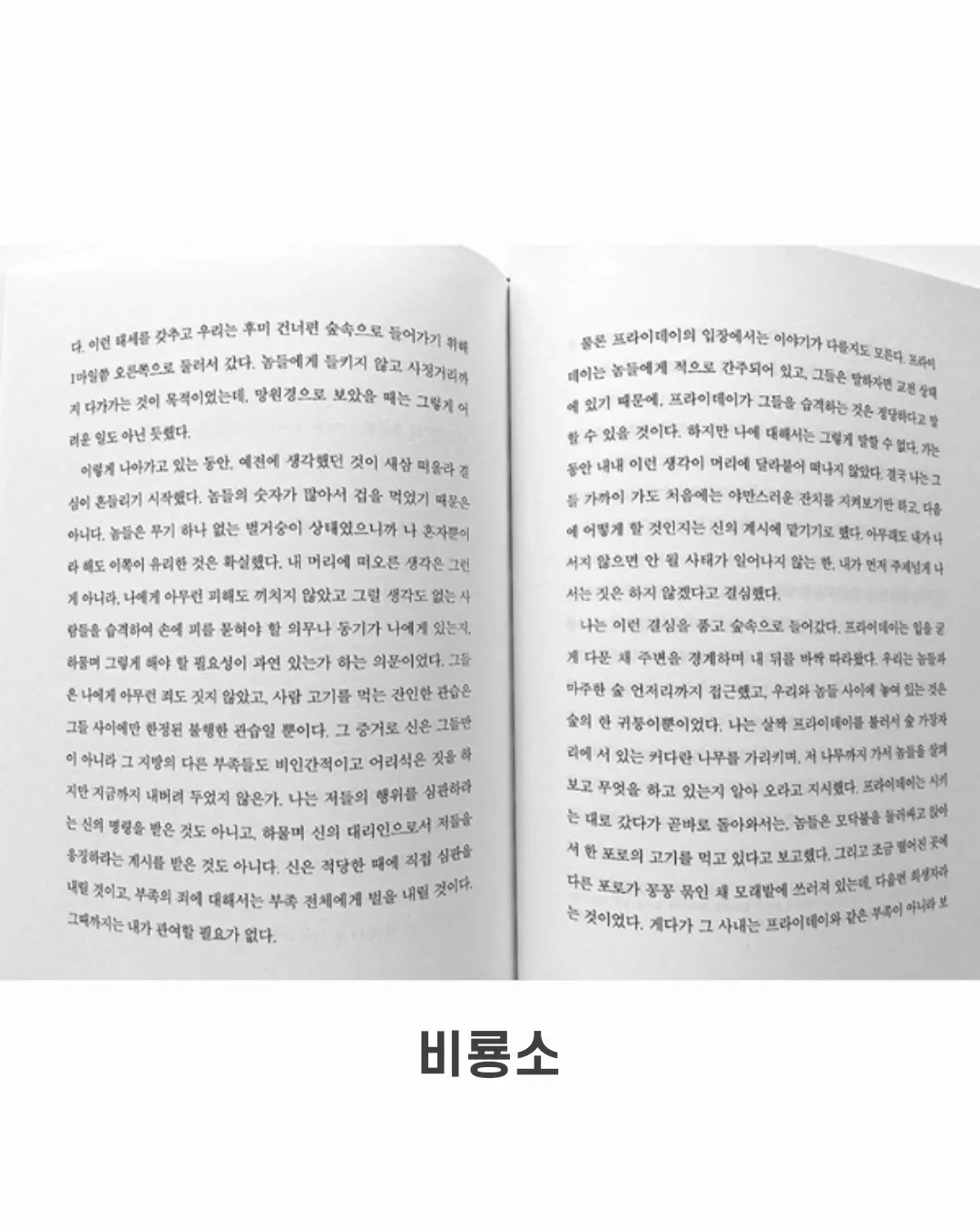 보헴 데일리백 8