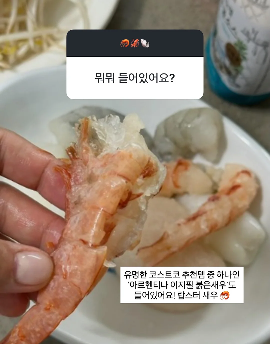 우리 동네 탐험 활동 도안 9