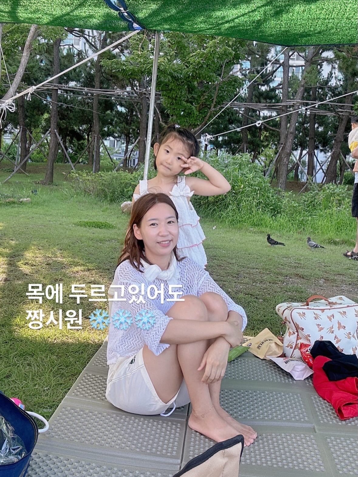 도트나시 12