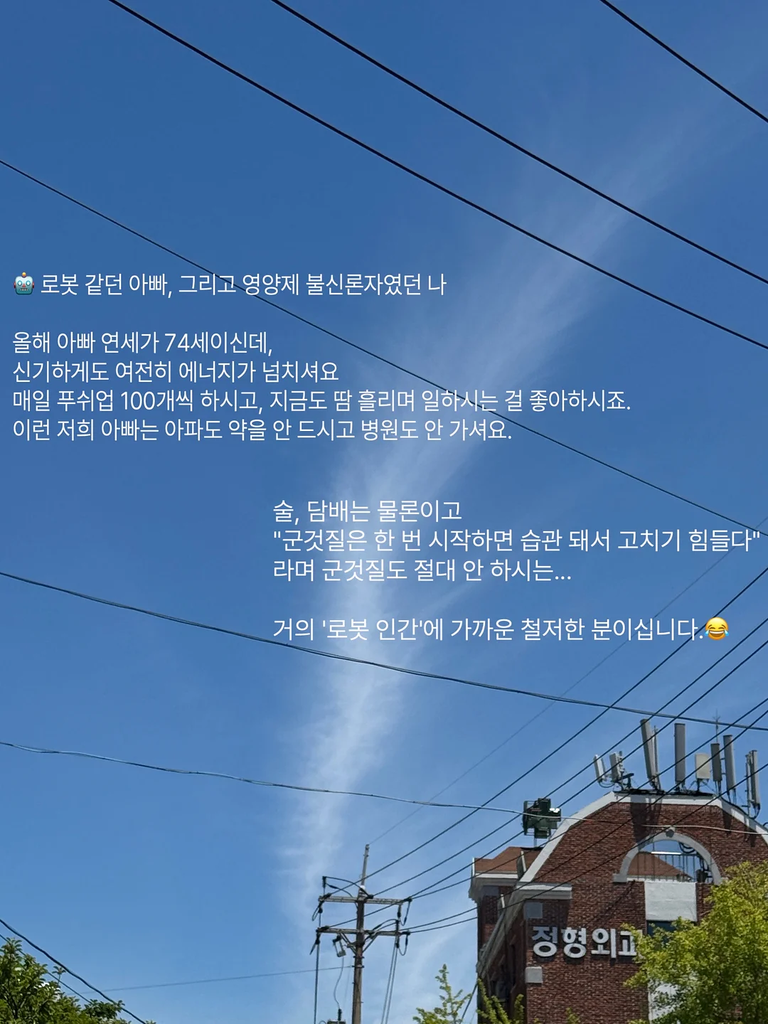 뷔스티에 2