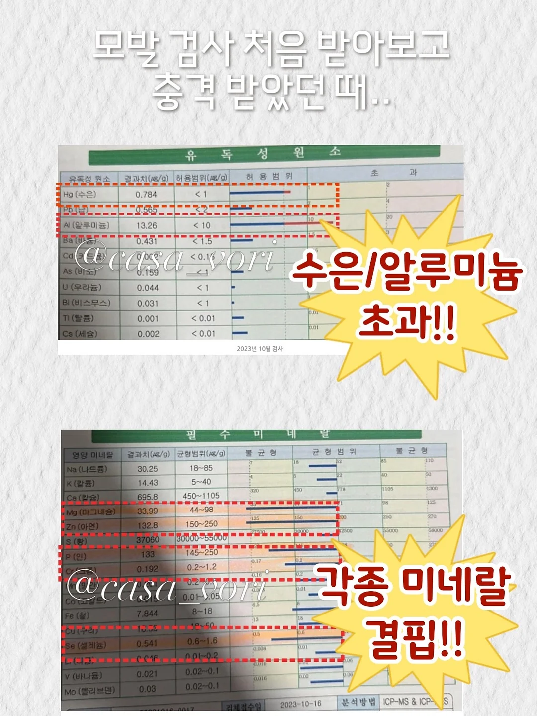 뷔스티에 6
