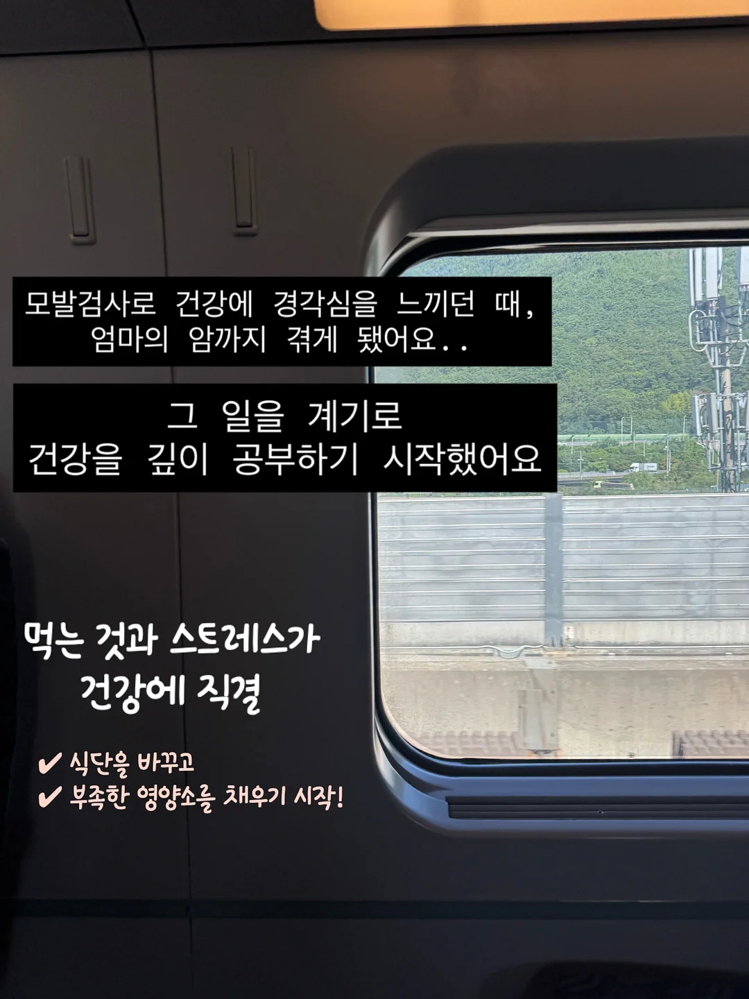뷔스티에 7