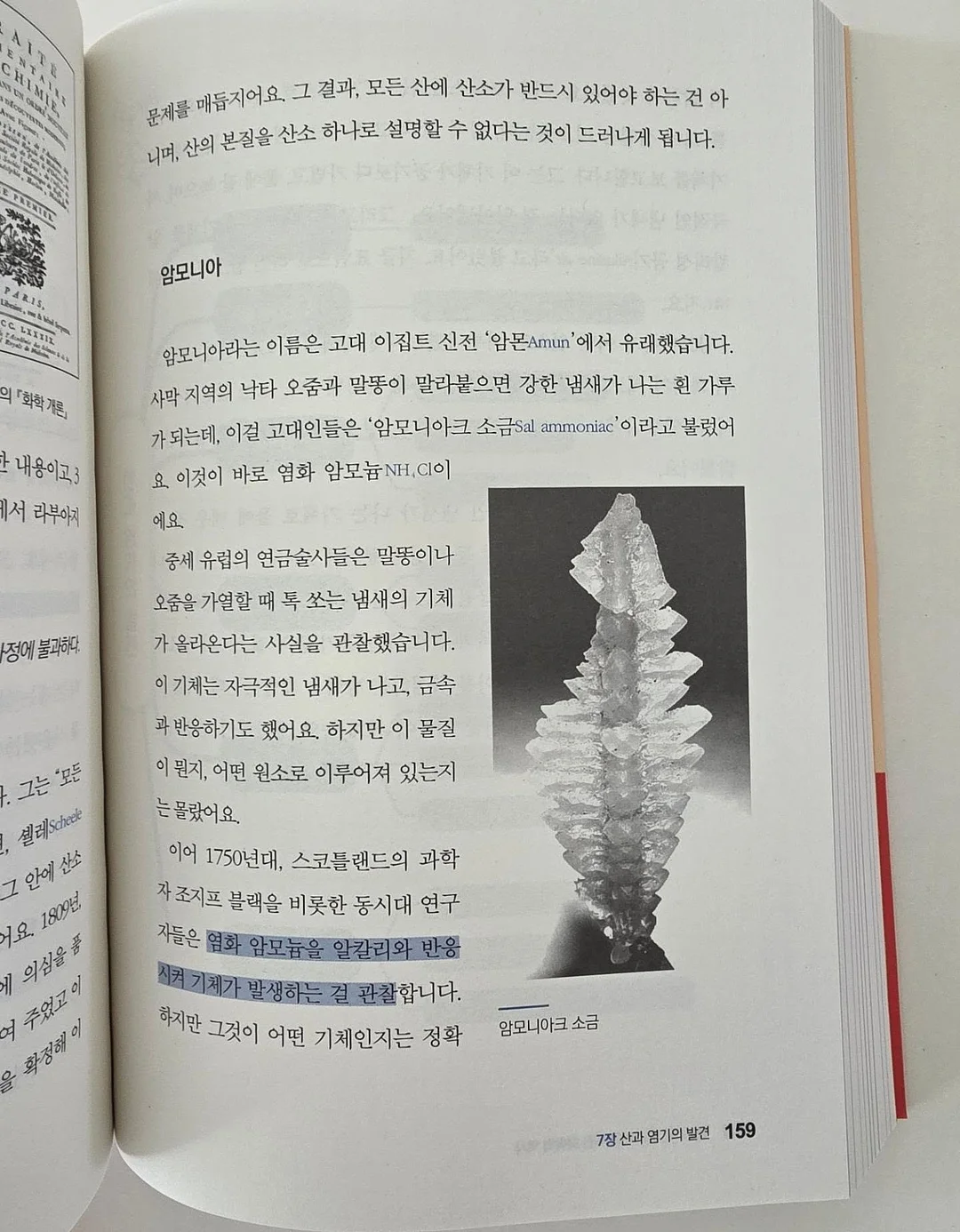곰팡이 제거제 11