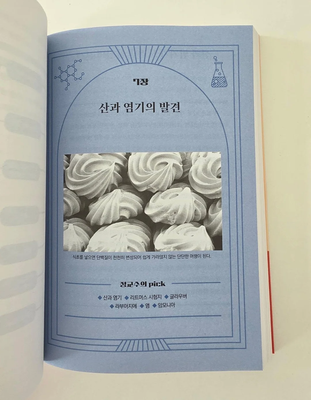 곰팡이 제거제 12