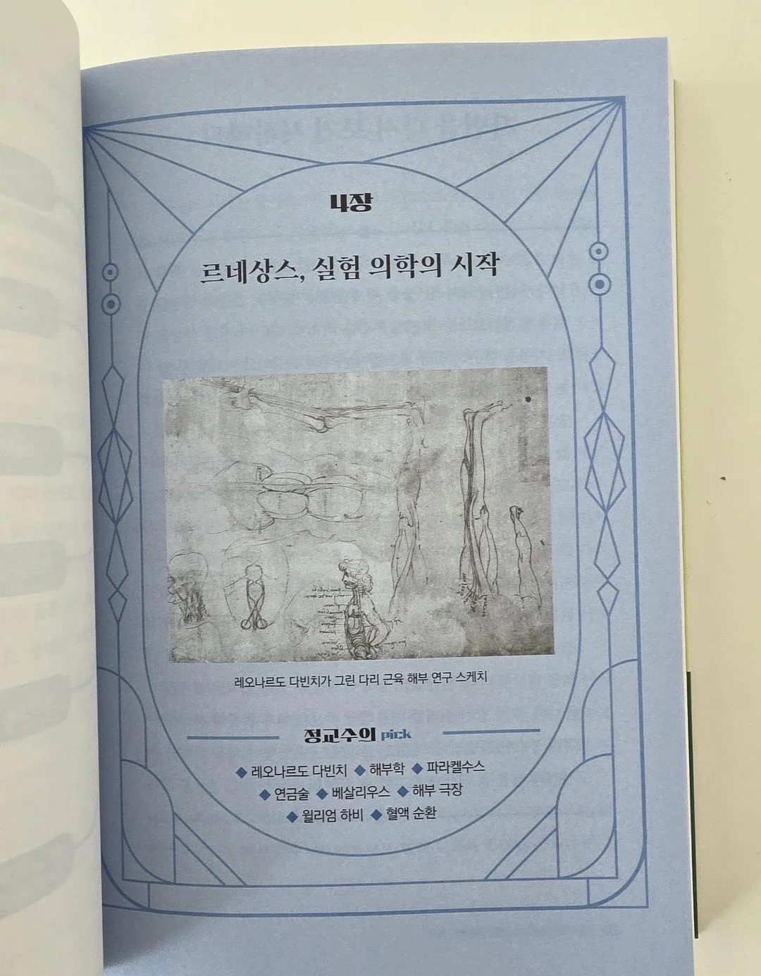 곰팡이 제거제 18