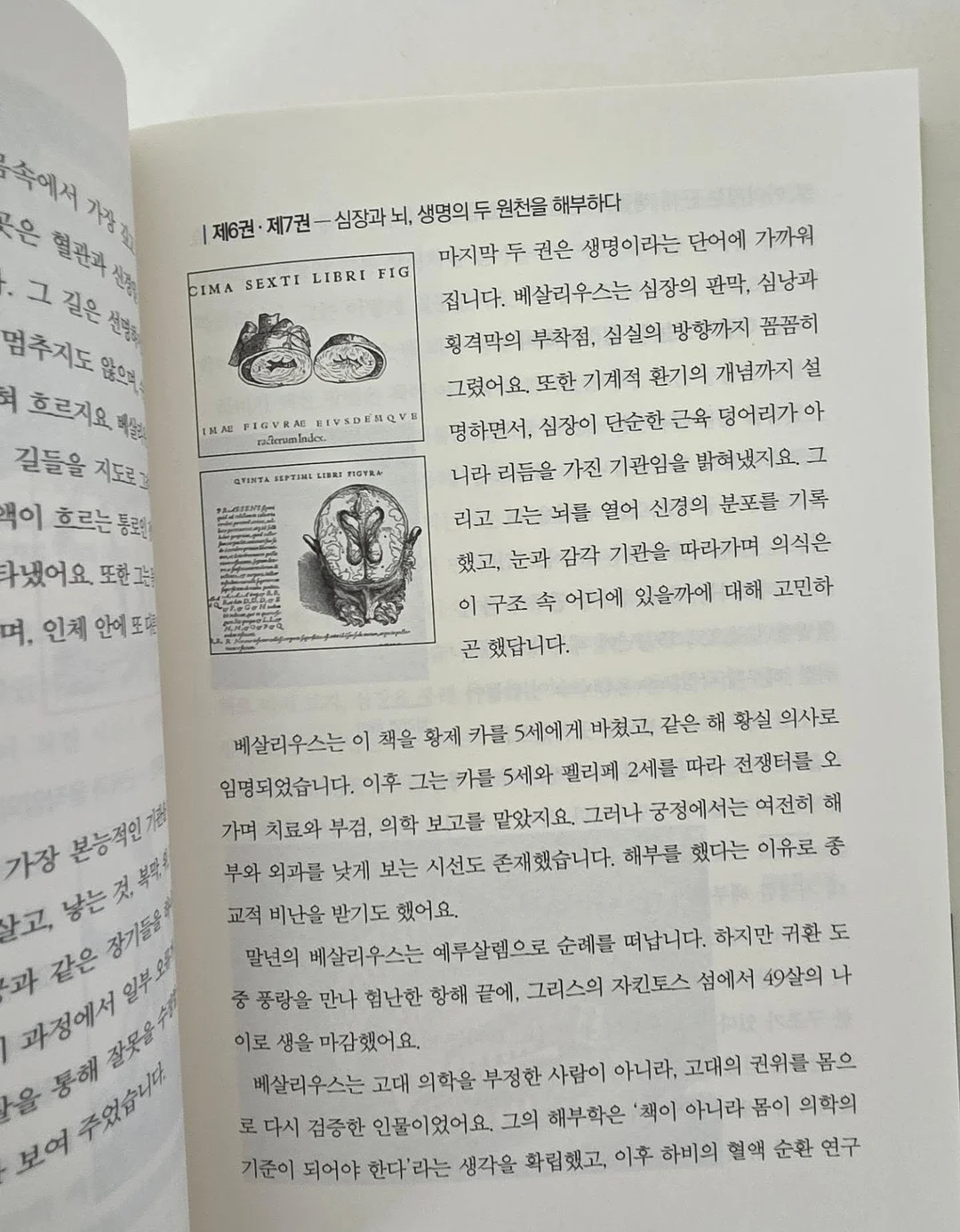 곰팡이 제거제 19