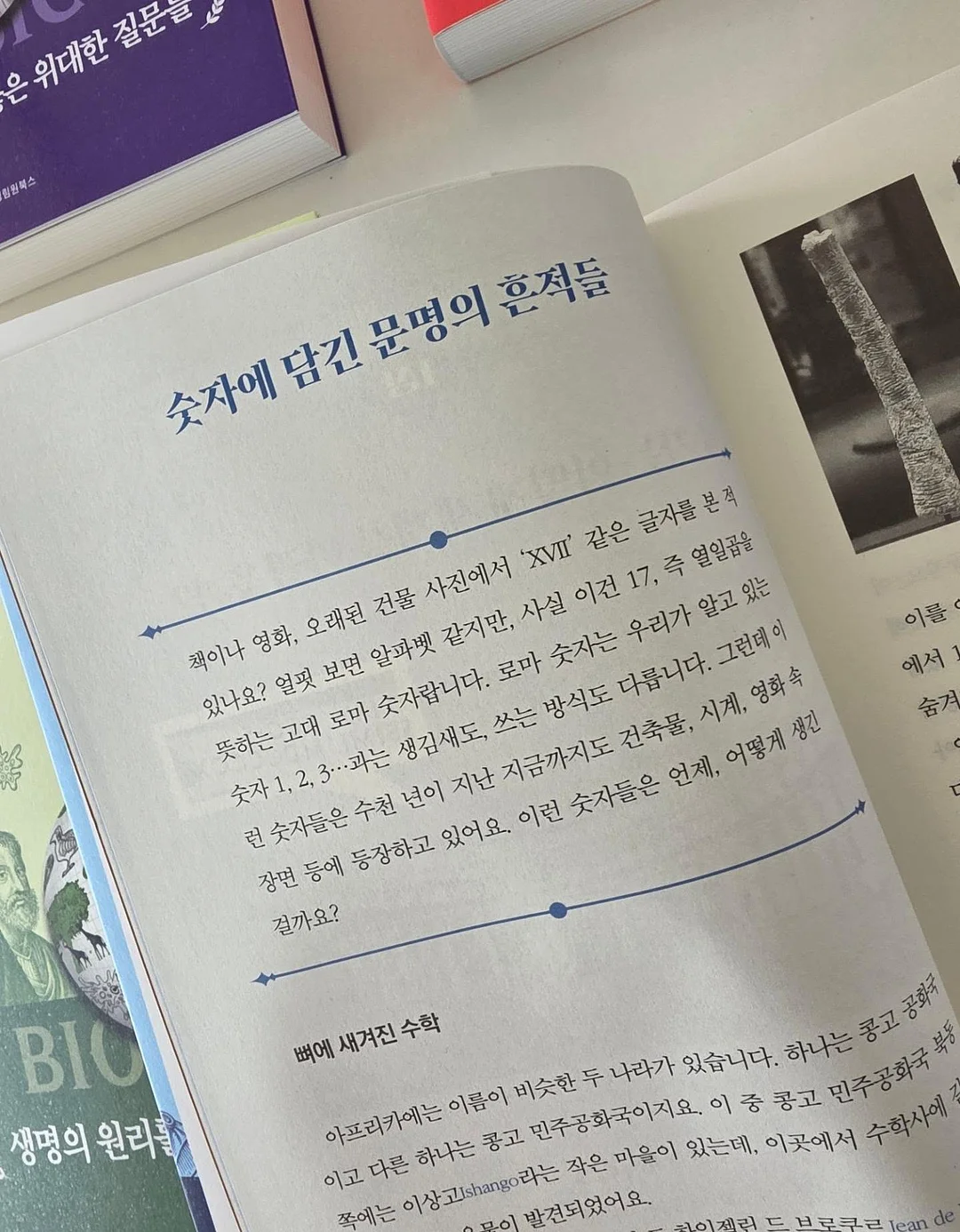 곰팡이 제거제 5