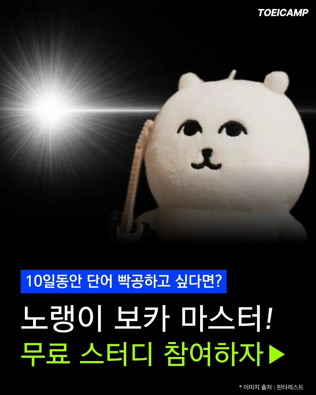 모모엘 펌 1