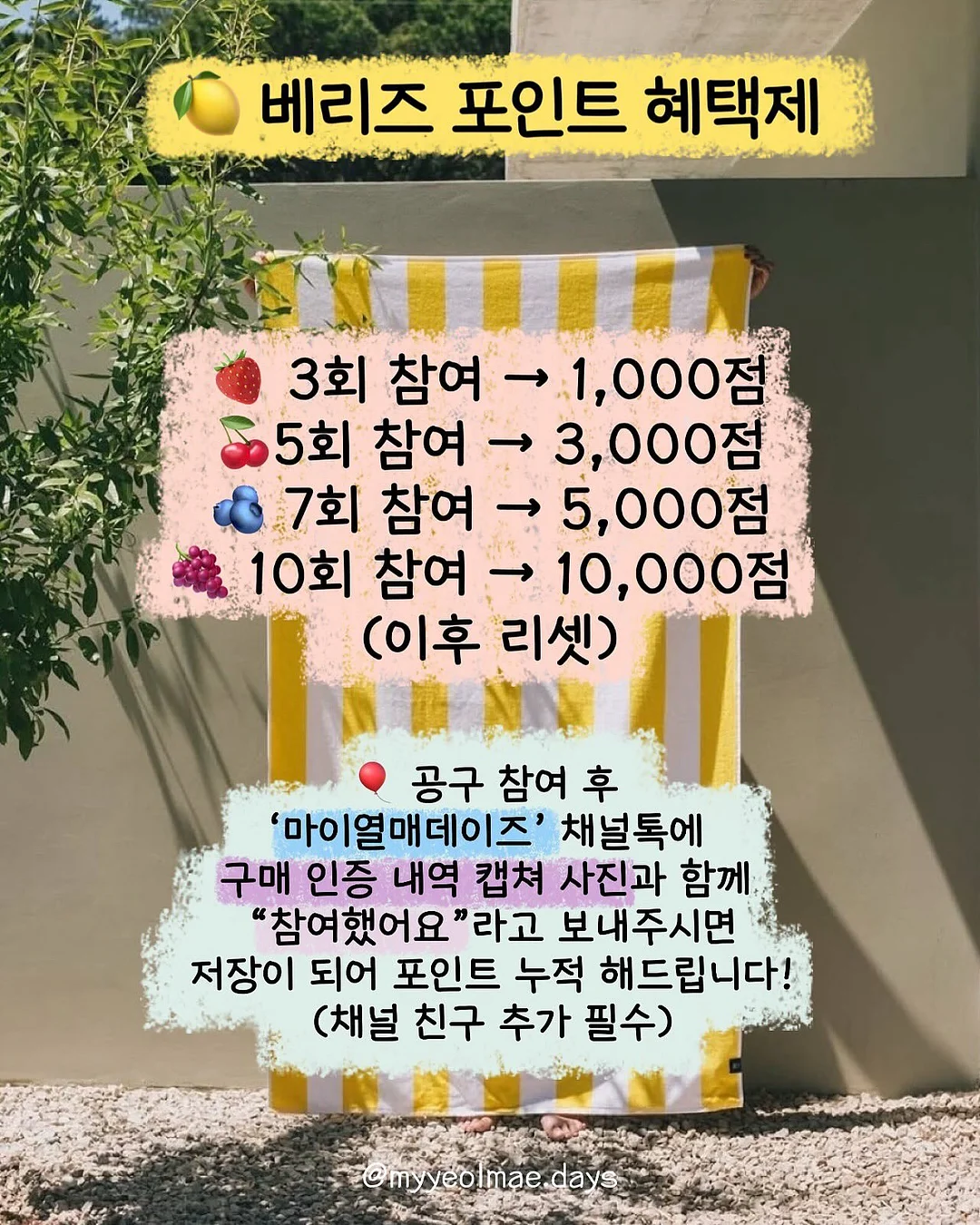 마망갸또 도라야키 12
