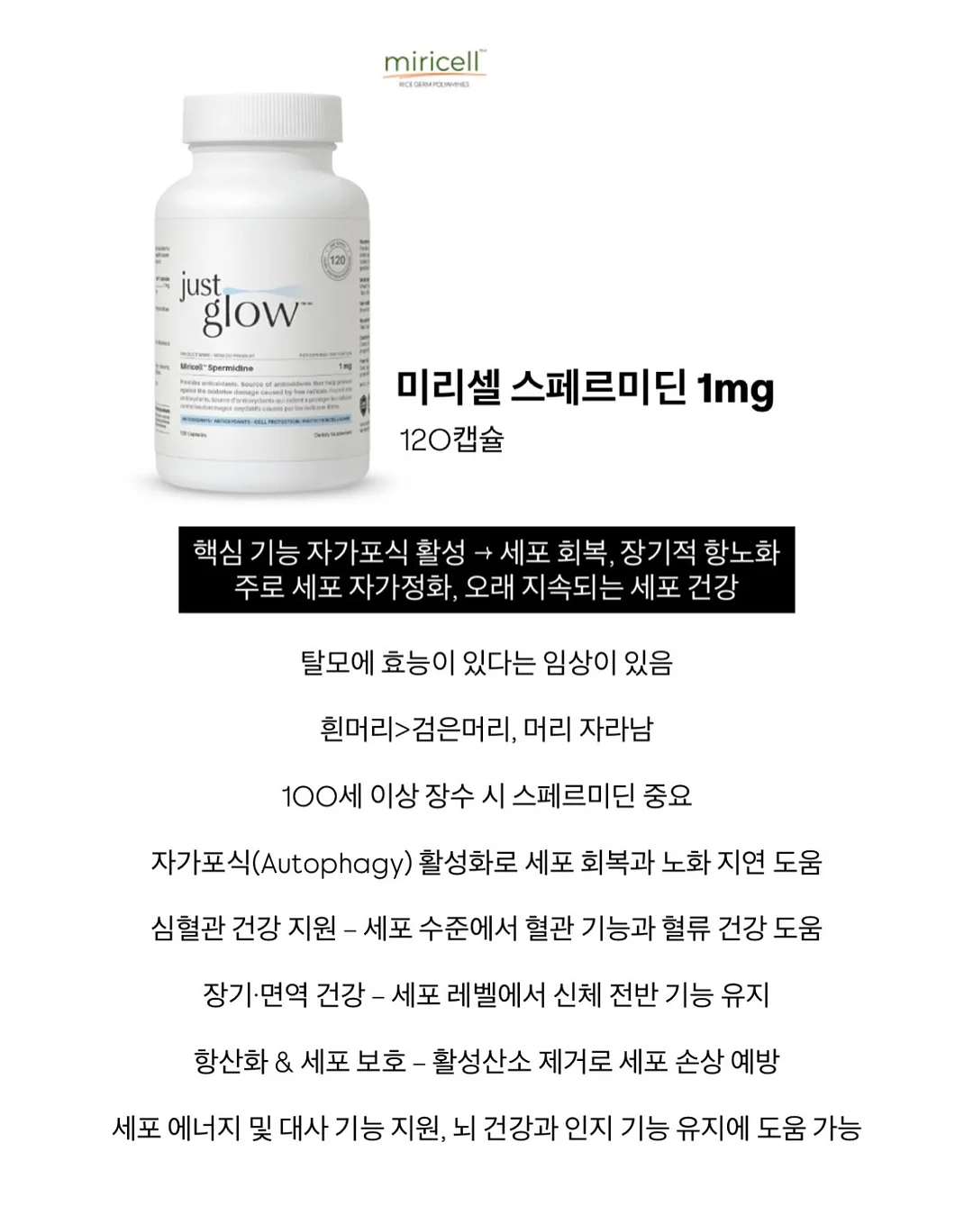 토프브라운 염색 14