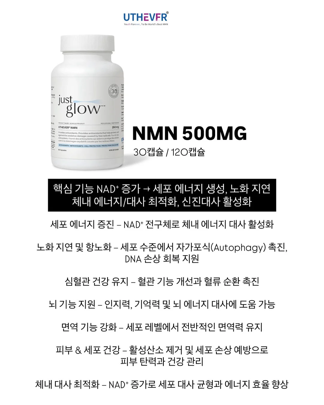 토프브라운 염색 10