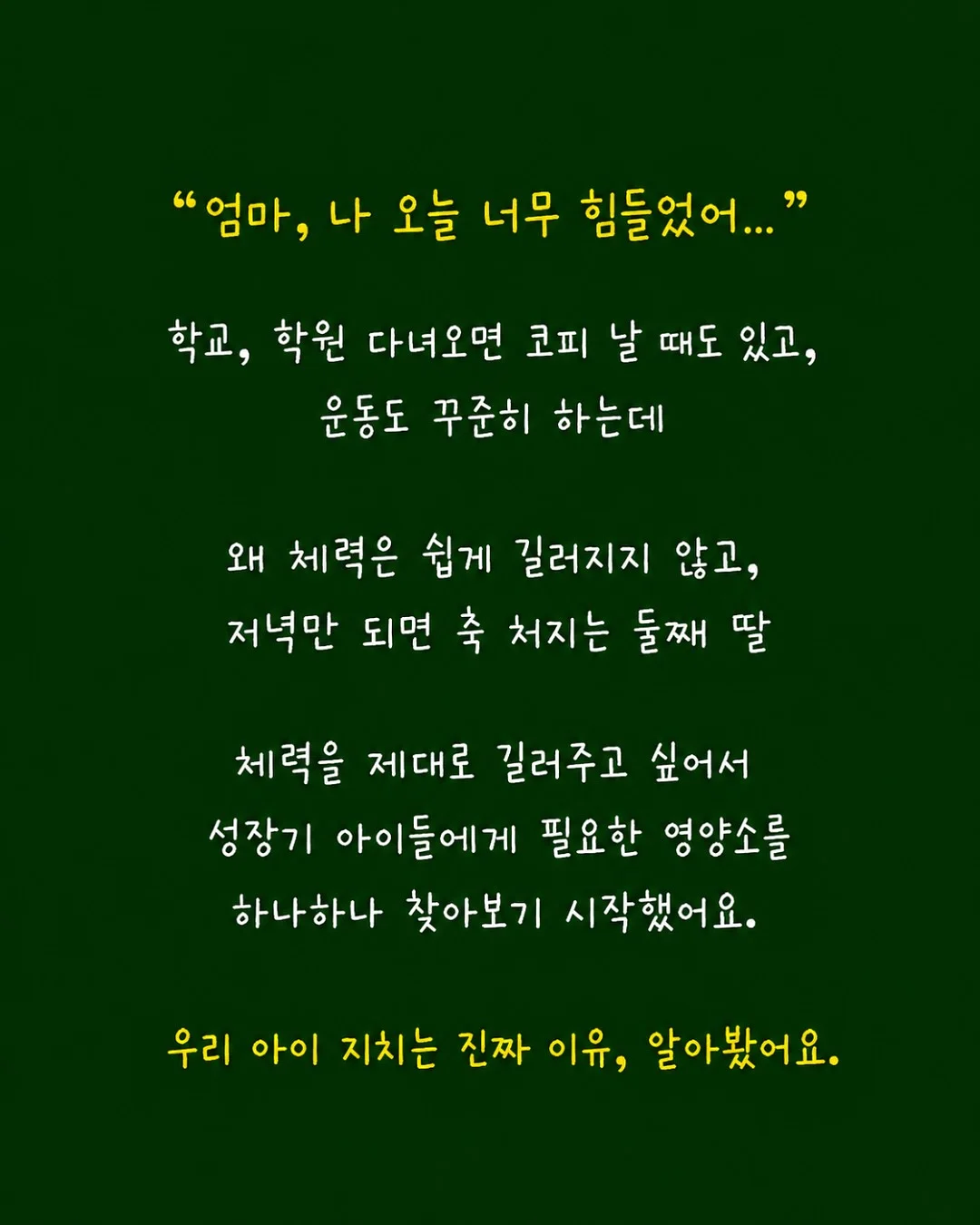 미니카 가방 2