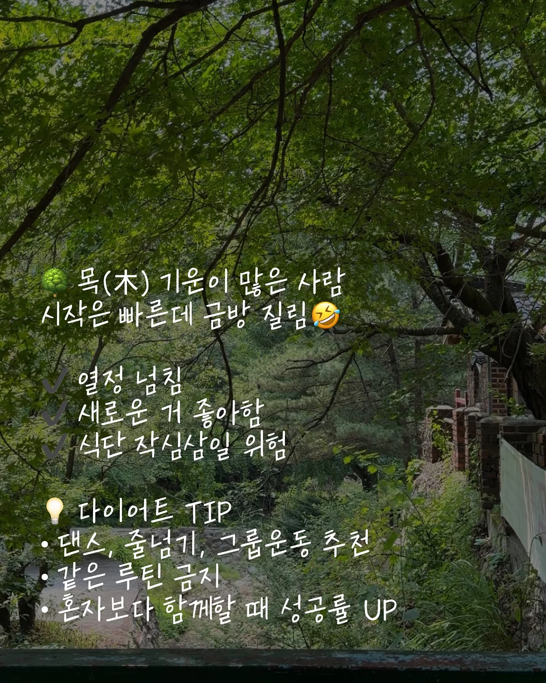 도담도담 아기쇼파 2