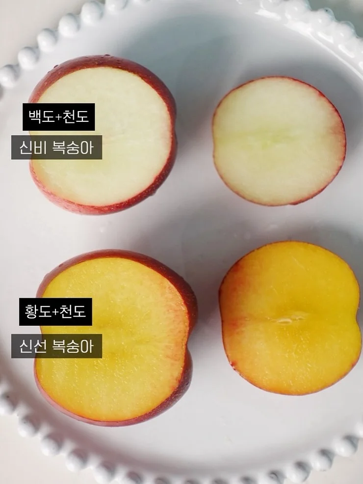 우다다맨숀 LED 폭죽 낚시대, 우다다맨숀 2in1 수직 스크래쳐 오렌지, 뮤트 원목 썬베드 스크래쳐 대형 3