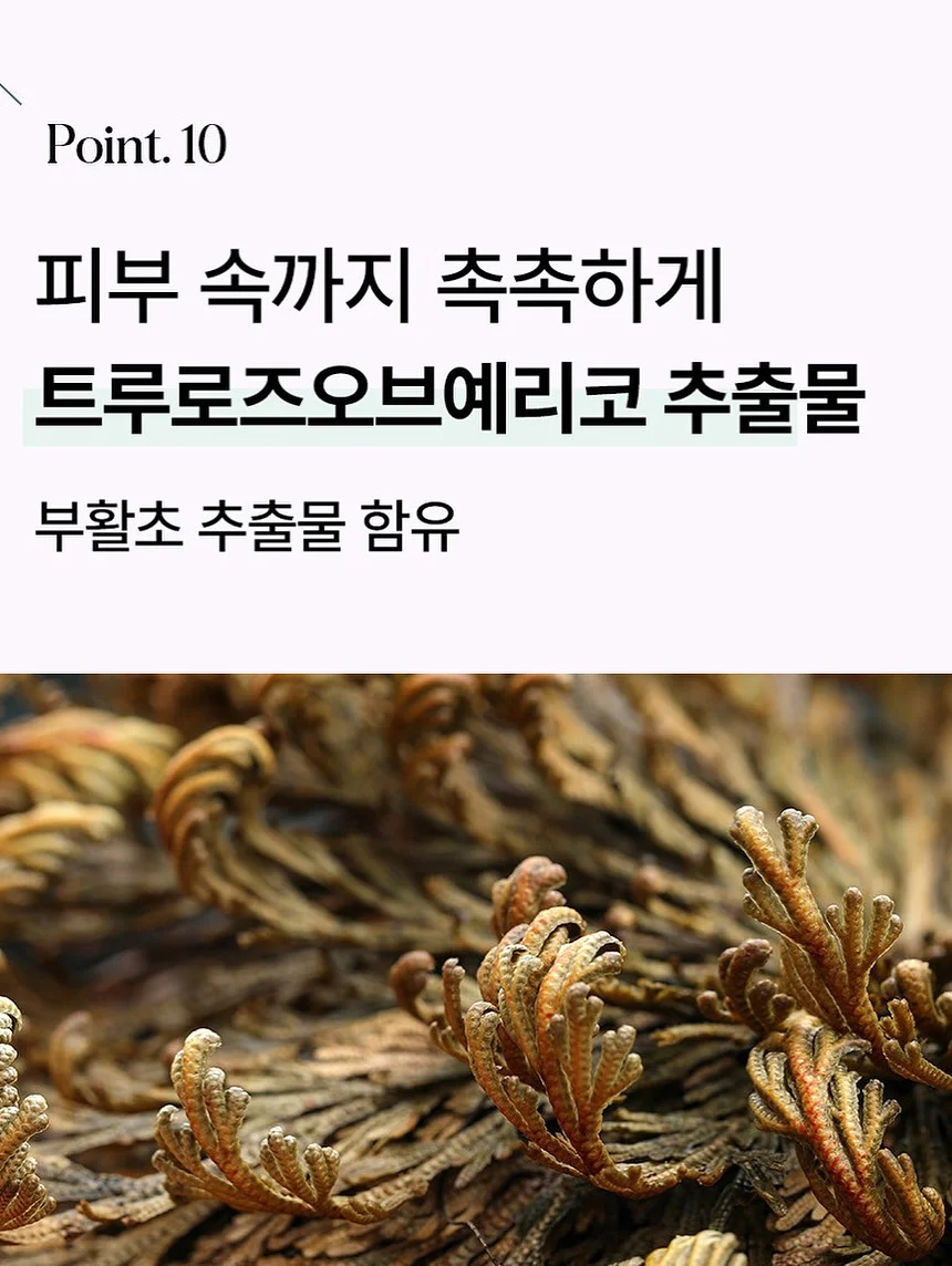 비개방 코수술 젤리코 18