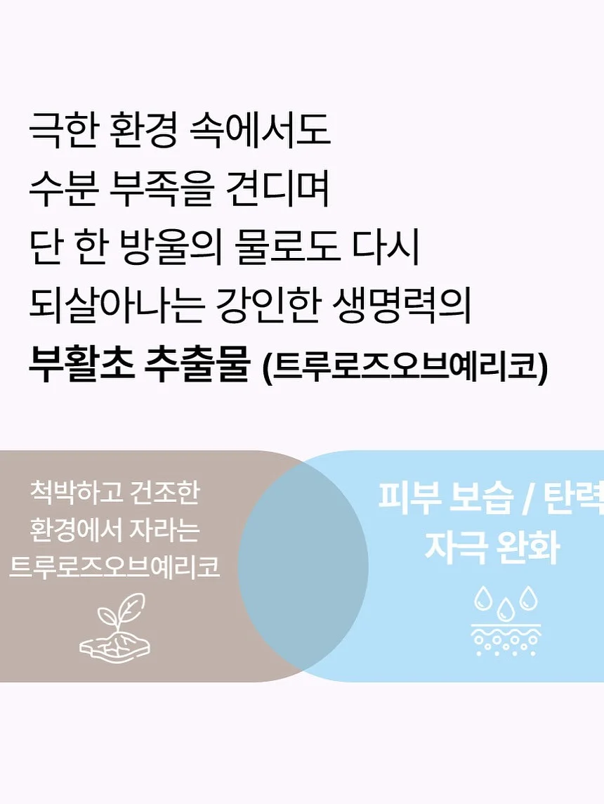 비개방 코수술 젤리코 19