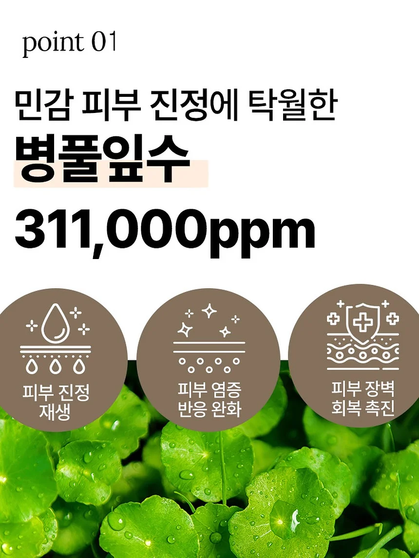 비개방 코수술 젤리코 5