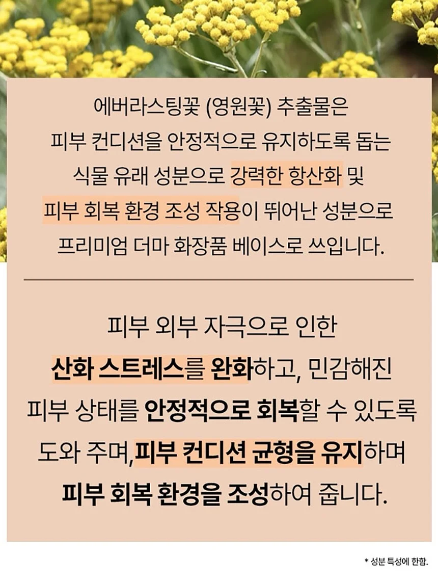비개방 코수술 젤리코 8