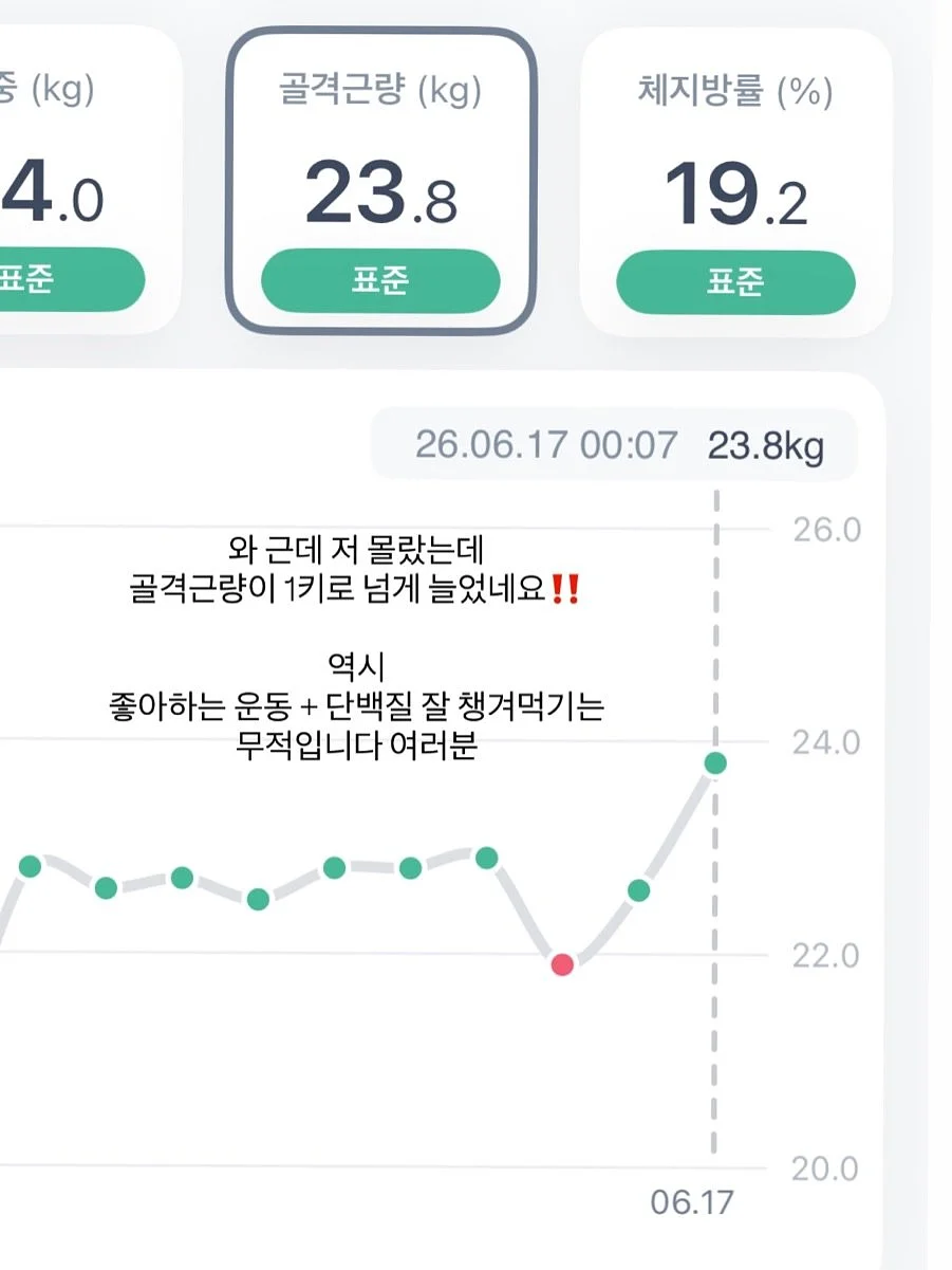 기름 먹는 하얀 가루 8