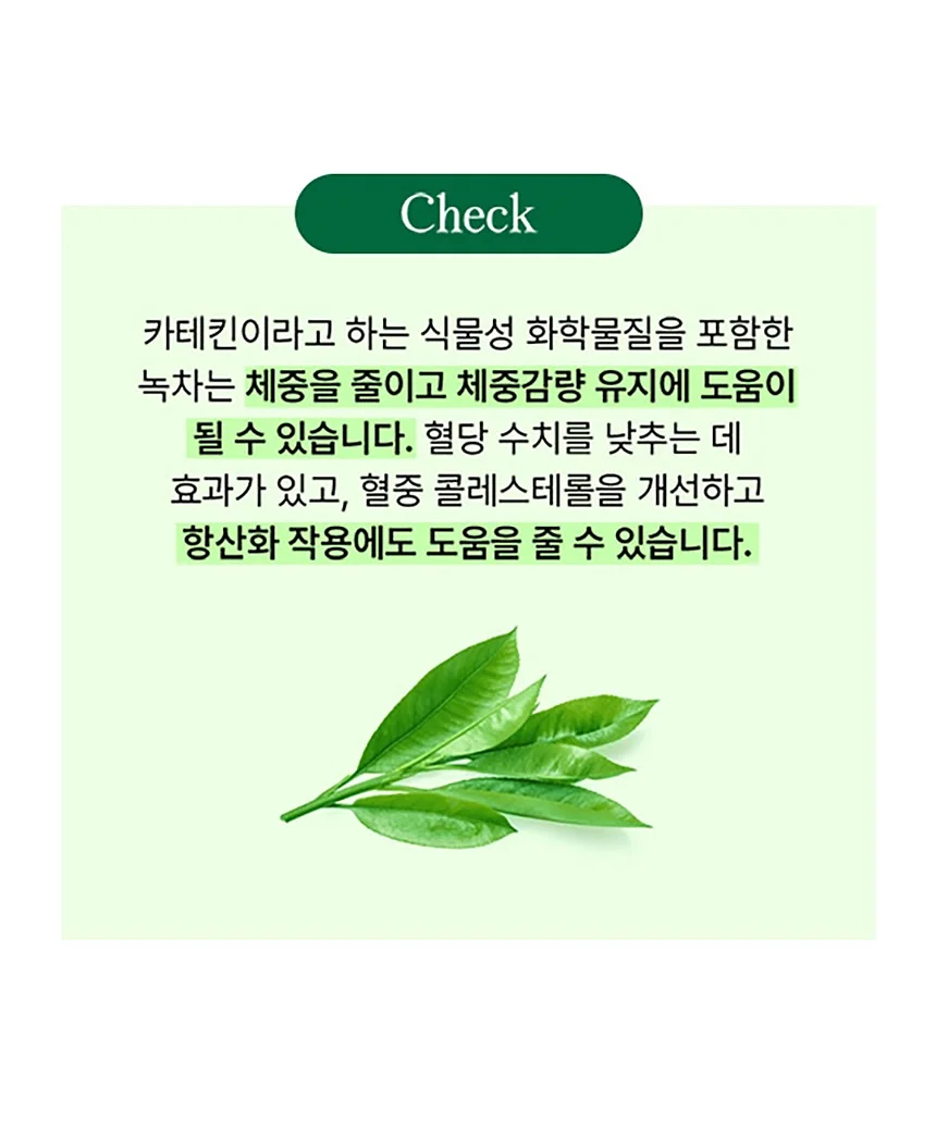 KSPO 가족캠프 13