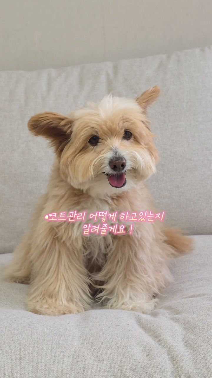 홈페이지 브랜드 진단