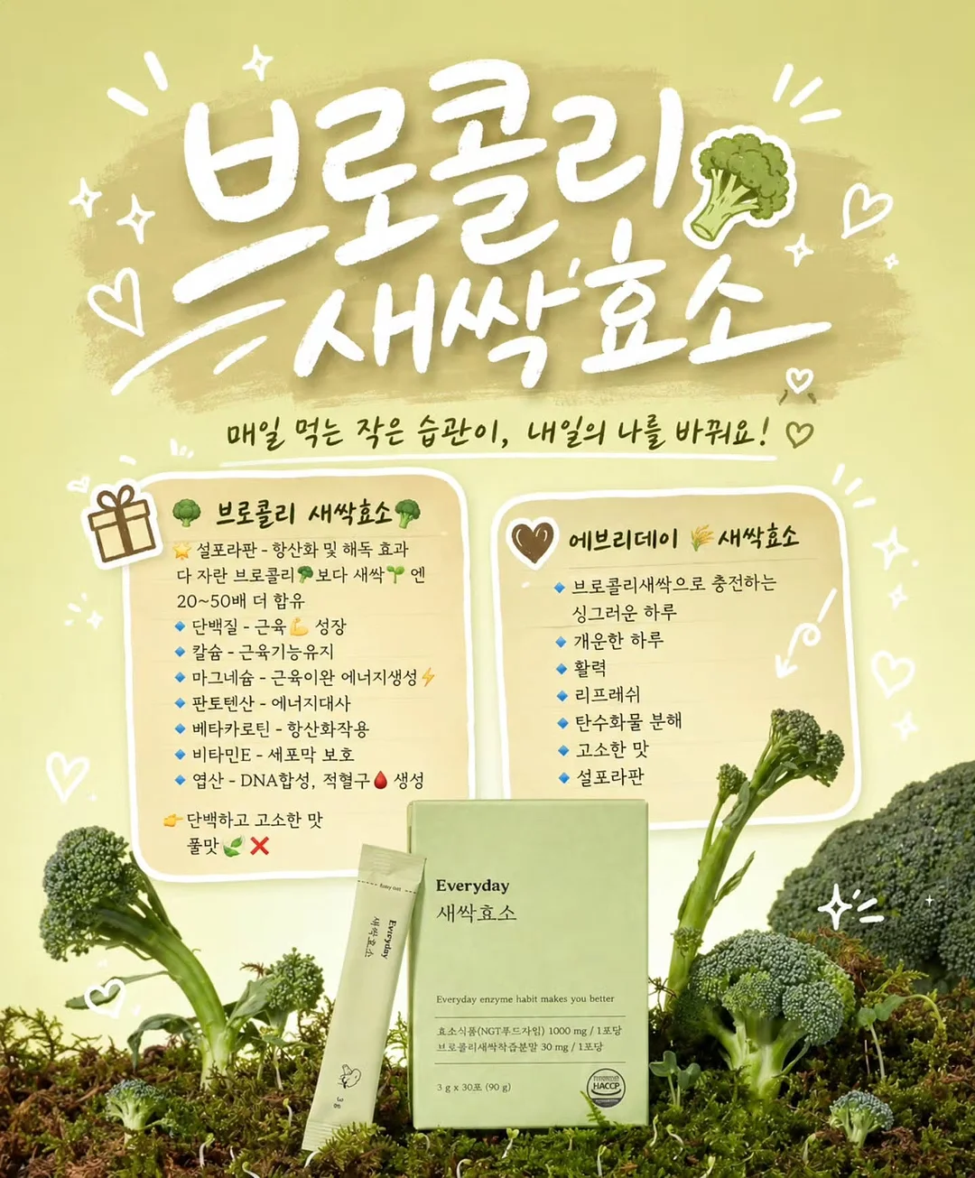 스포츠 팝업대전 2