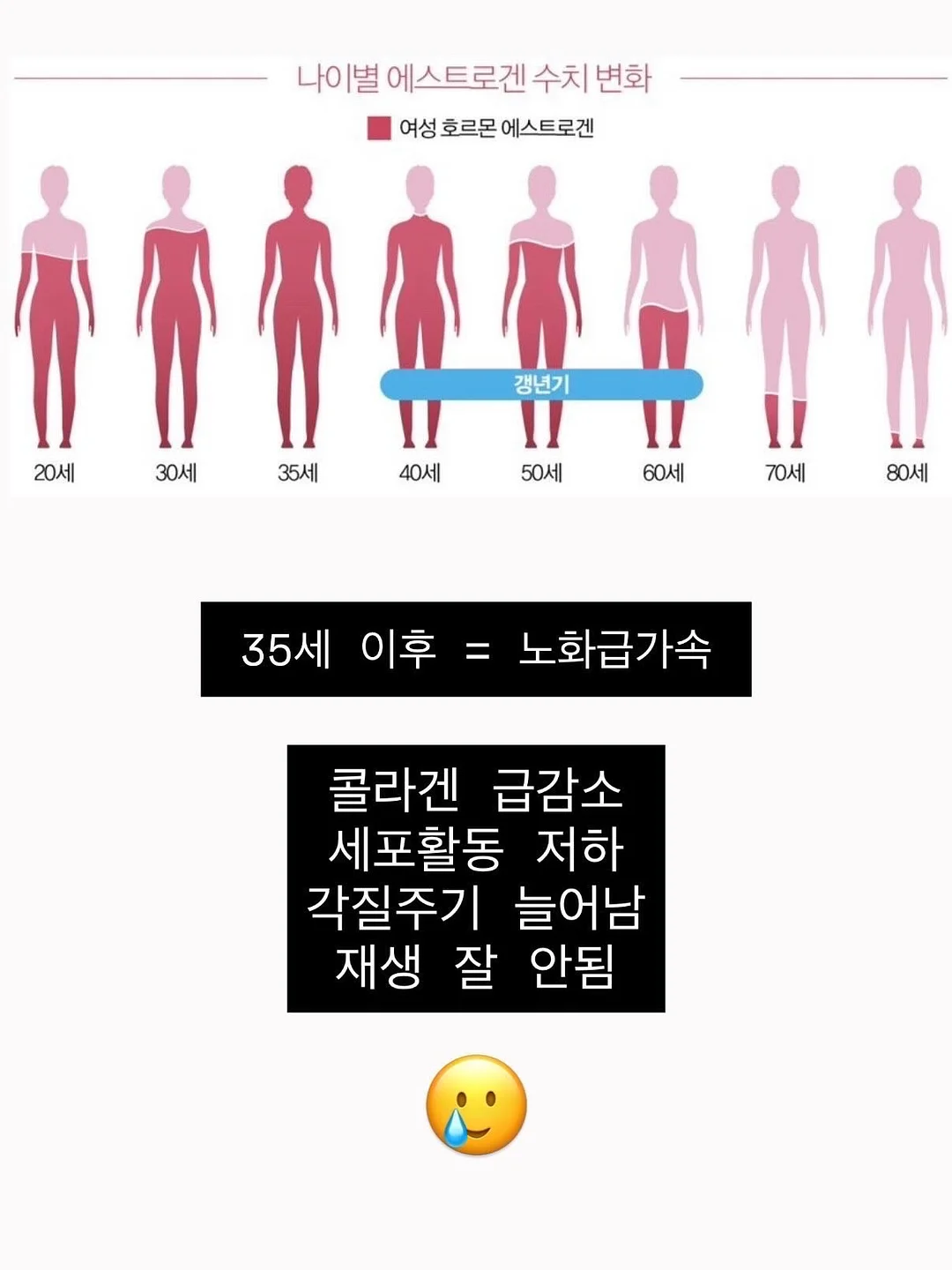 메리제인 2