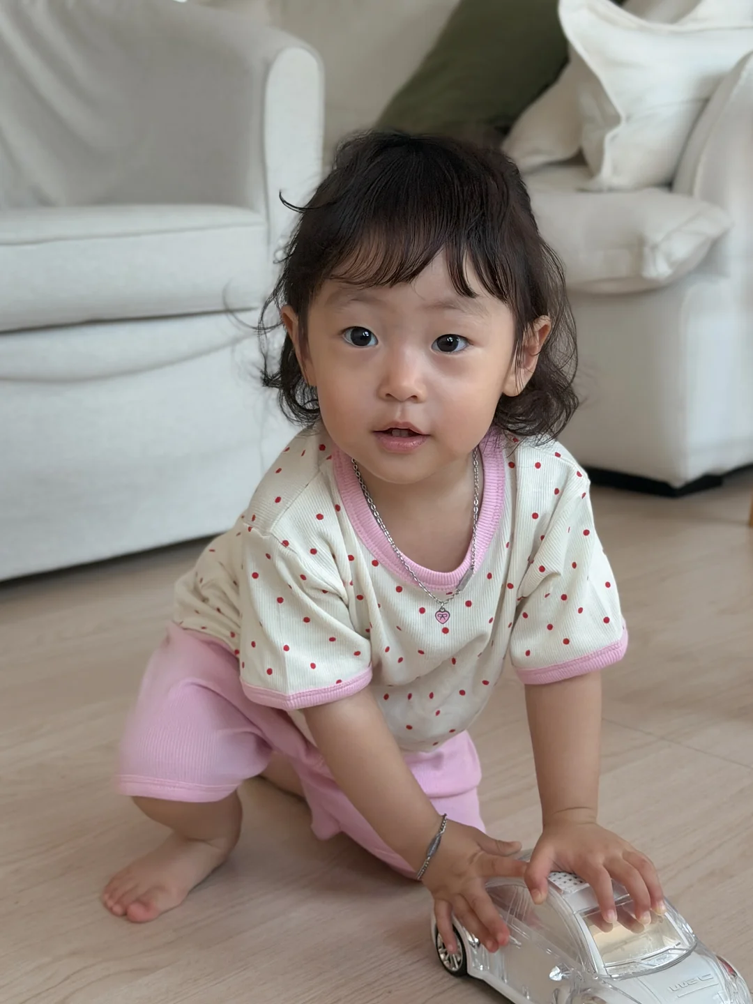 하토토 육회 12