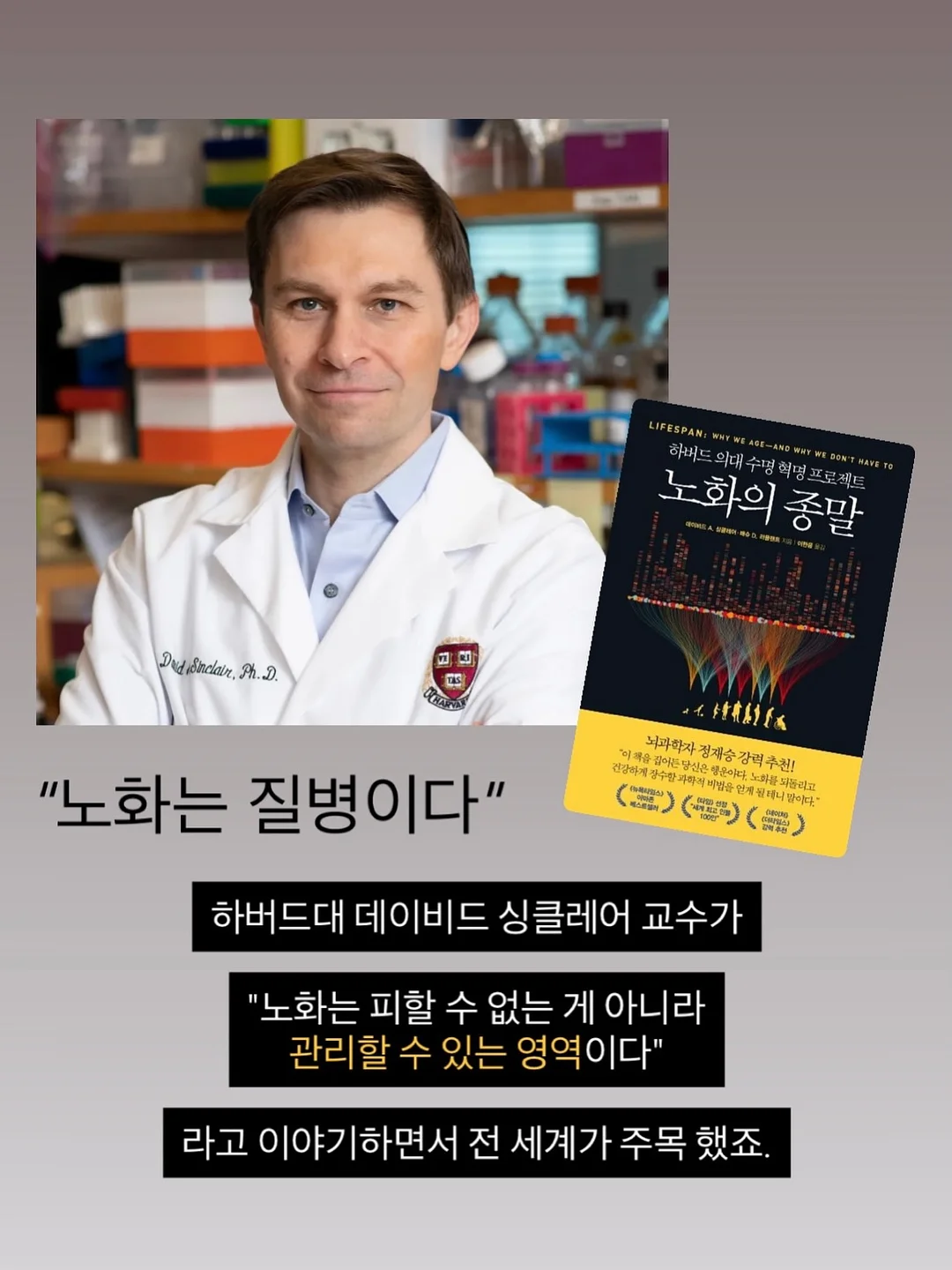구움찰떡 9구×2세트 5