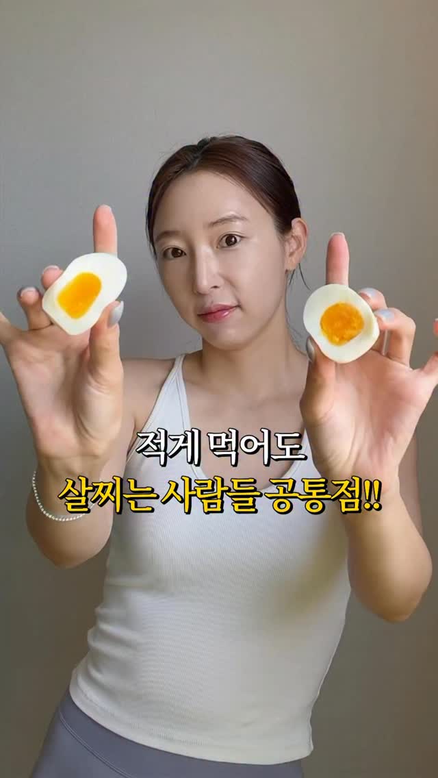 단체 도시락