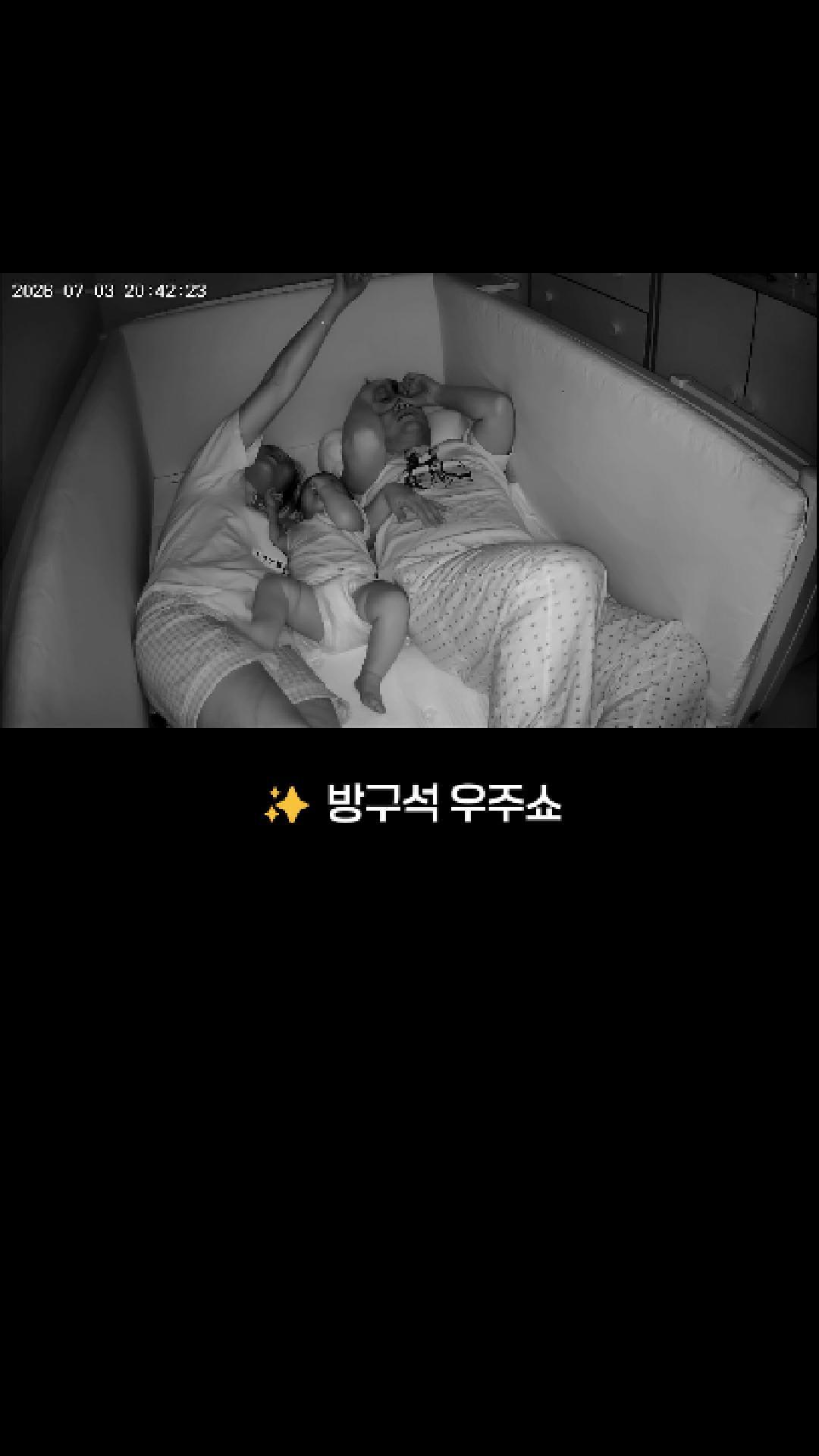 Tulip Meadow 시리즈 미니 오발