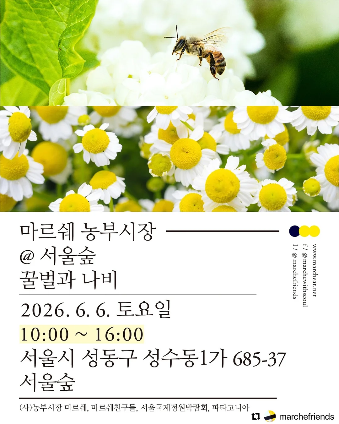 시나모롤 한정판