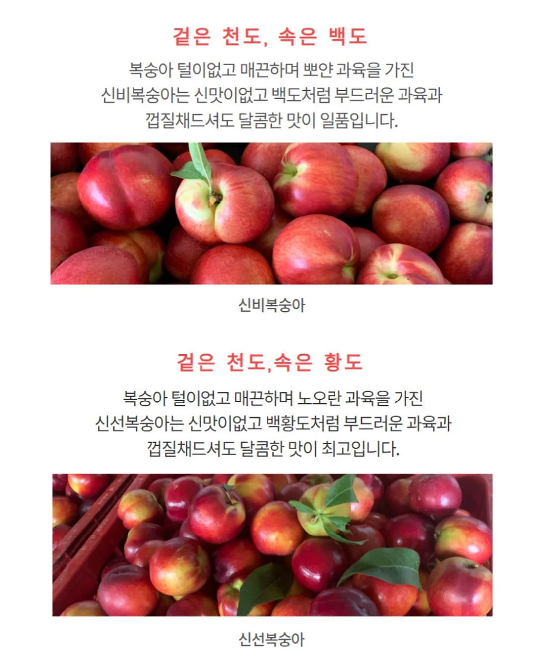 유니클로 브라탑 12